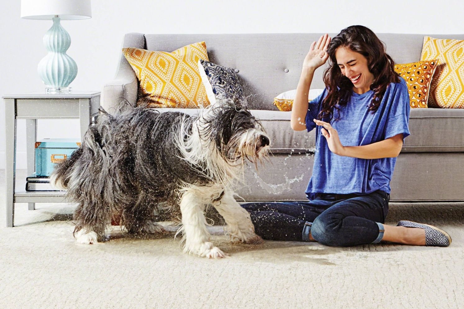 dog in living room from McMillen's Carpet Outlet in Clarion